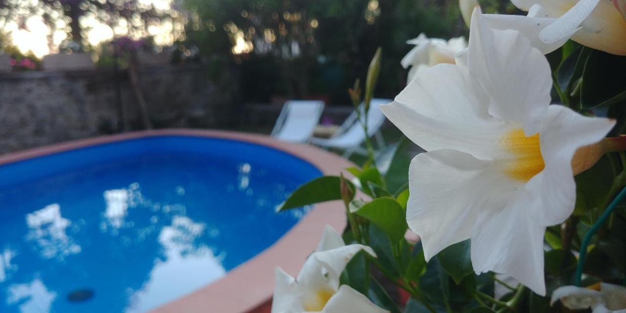 Villa Drina Ischia Ngoại thất bức ảnh